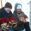 Crab Handling