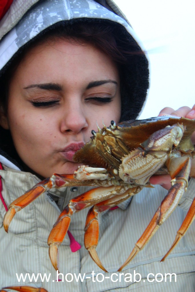 Crab fishing and loving Dungeness crabs