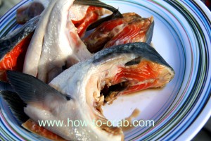 Fresh salmon heads being prepared for crab bait