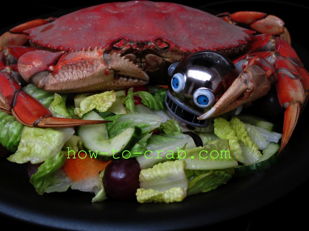 A Dungeness crab sitting on top of a salad hugging a robot head.